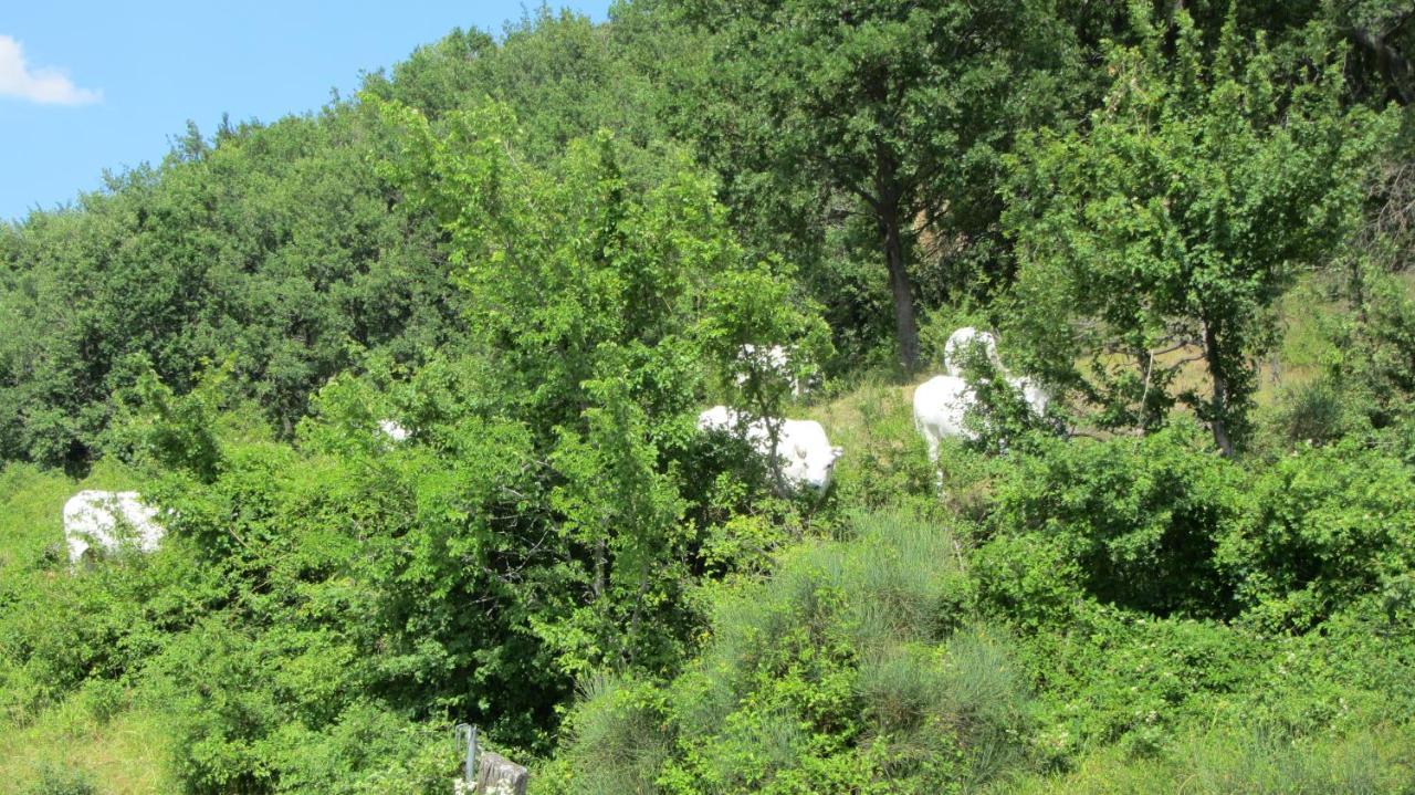 Casale Le Fontanelle Hotel Monte Grimano Terme Bagian luar foto